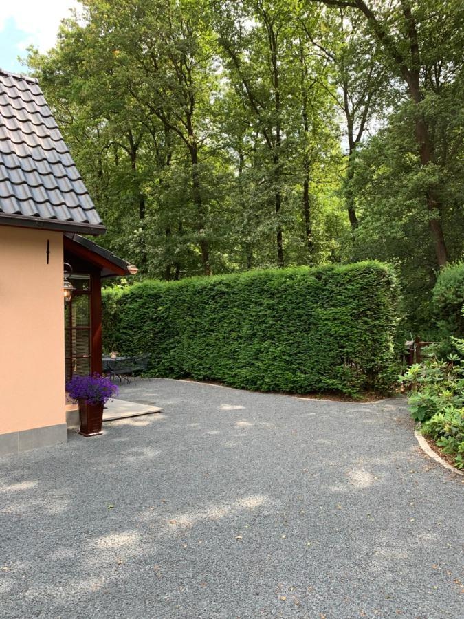 Romantisch Gastenverblijf 'Het Vogelhuisje' Lunteren Exteriér fotografie